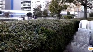 欧美在线天天性影院_欧美亚洲精品成人视频